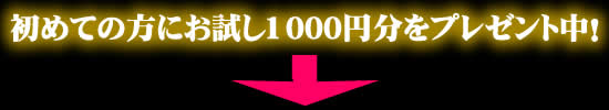 お試し時間をプレゼント！